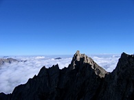 ������ ���� �������� ��������� ����