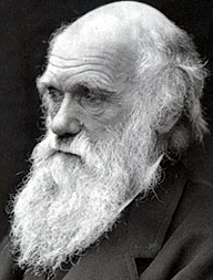 Ватикан признал теорию эволюции Чарльза Дарвина. Изображение с сайта sau.edu