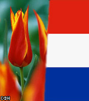 �������� ������������ � �����������