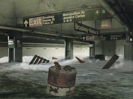 ������������ ������� - ����� � ����������� ����������