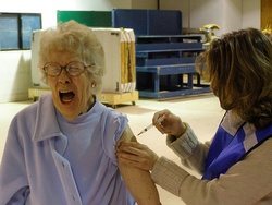 ���������������� �������� �������� �� ��������