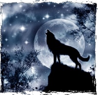 �������� ����